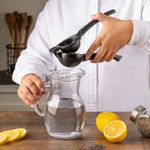 4029666-Exprimidor-de-Limones-Vasconia-Esencial-de-Aluminio-6.jpg